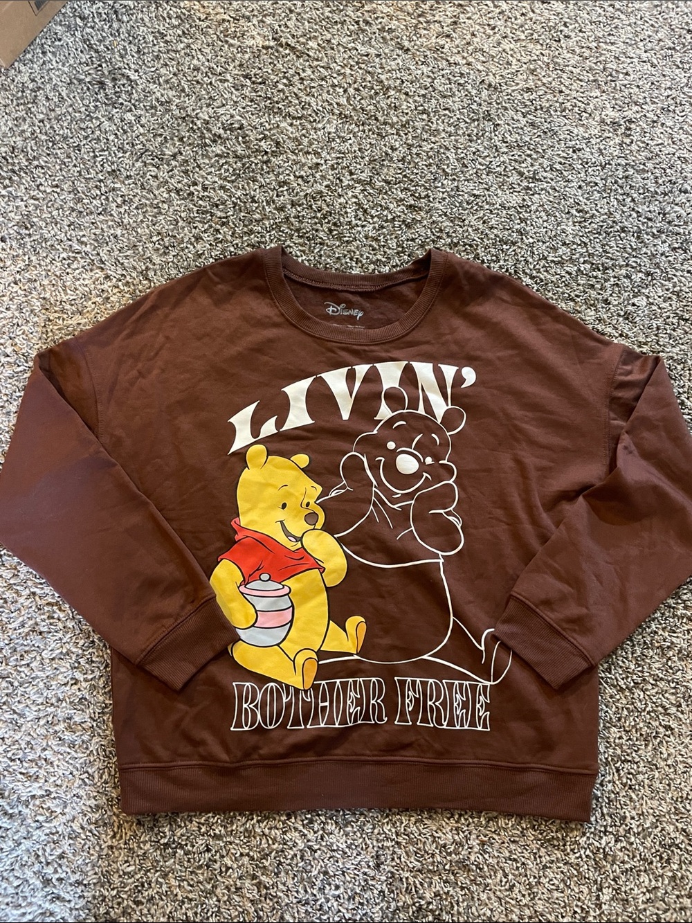 Disney Brown Sweatshirt with Yellow & Red Winnie the Pooh Graphic